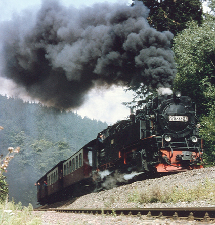 99vorbild